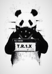 T.R.1.X